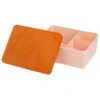 Brooddoos Vis Oranje-lichtroze - Blafre -Babyproducten Winkel blafre brooddoos vis oranje lichtroze blafre