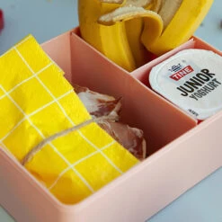 Brooddoos Vis Oranje-lichtroze - Blafre -Babyproducten Winkel blafre brooddoos vis oranje lichtroze blafre 3