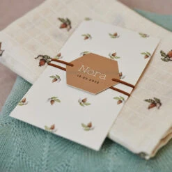 Jollein Hydrofiel Monddoekje Rosehip 3pack 13 Jollein Hydrofiel Monddoekje Rosehip 3pack -Babyproducten Winkel jollein jollein hydrofiel monddoekje rosehip 3pack 5