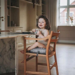 Stoelkussen Dino Noui Noui -Babyproducten Winkel noui noui stoelkussen dino noui noui 6