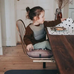 Stoelkussen Ice Cream Rose Noui Noui -Babyproducten Winkel noui noui stoelkussen ice cream rose noui noui 3